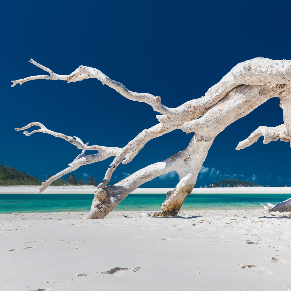 Calm – Sea Salt and Driftwood with Amazonite